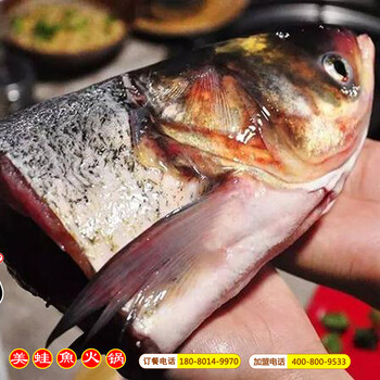 鱼头蛙火锅腥味图文