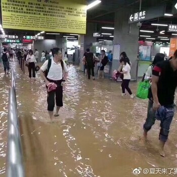 深圳此次的苗柏台风对深圳的损害有多大？
