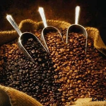 上海咖啡豆进口报关日本进口咖啡豆代理报关上海自贸区咖啡豆报关公司