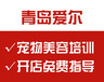 山东宠物美容学校理论+实操专业学校，名师授课，教学有方法，学习有保障