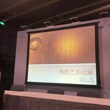 2017年国际艺术节私下古玩古董交易会图片