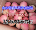 湖北汉州苹果批发价格苹果价格是多少