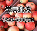 河南济源市苹果批发价格美八苹果今日苹果批发行情图片