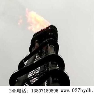 武汉海韵焦炉自动放散点火装置直接点火可靠性高！图片1