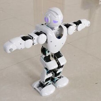 南京互动型舞蹈机器人出租