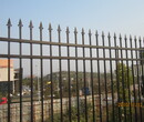 长沙幼儿园围墙护栏安装选锌钢材质图片