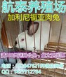 贵州省肉兔獭兔价格批发今年肉兔獭兔养殖利润如何