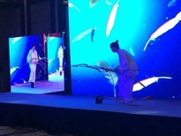 上海节目蓝人乐队奥运缶羽毛平衡术肩上芭蕾图片3
