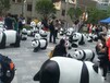互动人气国宝熊猫展出租，熊猫租赁啦