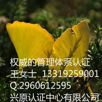 西安宾馆iso9001认证咨询兴原认证中心