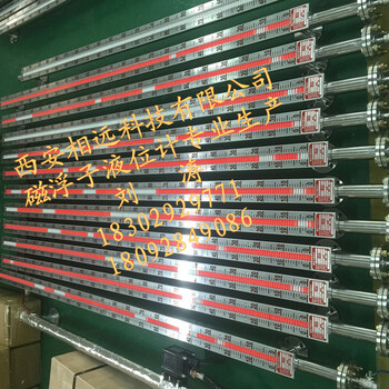 江西UHF磁浮子液位计生产厂家,珠海304SS,316L不绣钢液位计订做