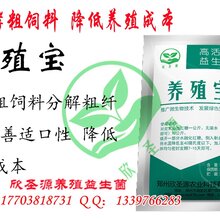 廊坊用什么来发酵豆渣喂牛不会拉稀欣圣源养殖宝图片