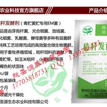 怀化怎么把红薯秧做成青储饲料喂羊欣圣源秸秆青储液图片