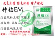 清远用EM菌来喷洒芒果可以吗欣圣源种植EM菌