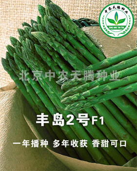 丰岛2号f1-芦笋种子，高产芦笋种子