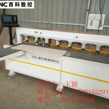 长治衣柜《排钻包双工位数控开料机》2513电脑木工下料打孔切割机(红外线侧孔机)操作图片