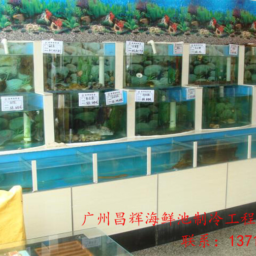 广州海珠定做超市海鲜池制造玻璃海鲜鱼池海鲜鱼缸定做公司