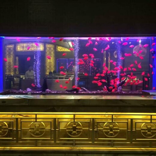 佛山禅城区定做海水鱼缸，佛山同济路哪里定做珊瑚鱼缸，佛山珊瑚海水缸怎么养珊瑚