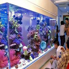 广州玻璃鱼缸清洗-天河区定做鱼缸-天河定做大堂鱼缸-天河区定做观赏鱼缸图片