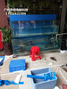 廣州海鮮玻璃魚池制作，廣州海鮮魚池定做，白云區海鮮池定做