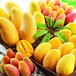 缅甸水果进口报关流程