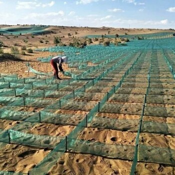 西藏拉萨山南20公分固沙网沙障生产厂家1米1米防沙网格-尖桩立柱
