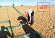 疏密防沙固沙网方格厂家为沙化治理贡献一份力量阻沙网规格价格
