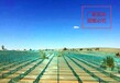 新疆防沙网厂家阻沙网固定桩防沙网格现货墨绿色200沙障