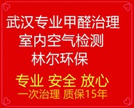 品牌除甲醛测甲醛甲醛检测治理空气净化图片0