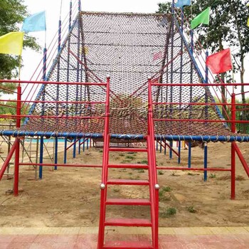 儿童游乐项目体能乐园游乐设施荡荡板定制