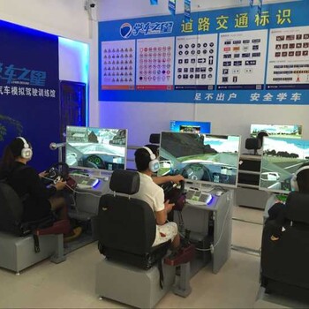 扬州2017年做什么生意好汽车驾驶模拟器售价