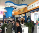 宠物用品新品发布会及订货销货会图片