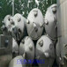 杭州厂家高价回收乳品厂设备，奶粉厂设备