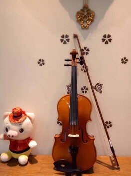 南山科技园寒假优惠学小提琴啦零基础教学一对一辅导还有免费的体验课哦