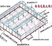 天津6分大棚骨架