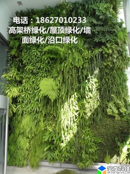 植物墙市场前景怎么样武汉有哪些做植物墙的公司