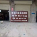 專用道路禁止停車交通標(biāo)志牌反光標(biāo)志牌交通設(shè)施