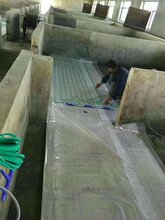 养猪地暖养猪电地暖猪场电地暖小猪暖床专用电地暖,电热地暖线养猪场电地暖图片