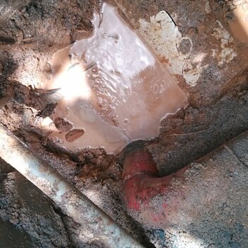 排查东莞地下管道漏水检测，需要检测哪家公司比较好