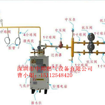 河南周口中邦煤改气气化器厂家