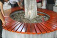揭阳医院园林树池座椅广场木制树围座椅图片