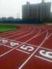甘肅籃球場廠家優惠承接，臨夏硅pu籃球場建設價格