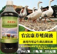 禽用鸭用益生菌活菌怎么卖图片