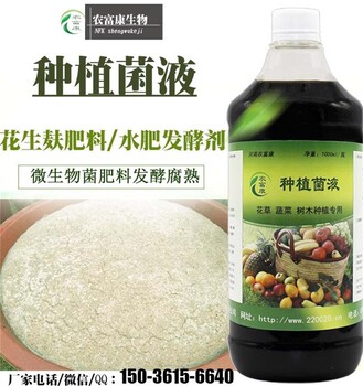 快速腐熟花生麩堆肥用的微生物菌怎么賣