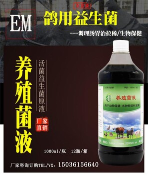 治鸽子拉白便稀便用的em益生菌技术厂家怎么联系