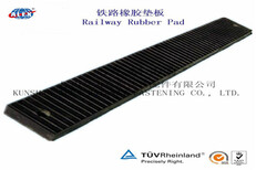 浙江集装箱堆场钢轨垫板、双层非线性减振垫板生产厂家图片3