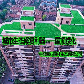 屋顶绿化是城市自然生态的保护神