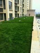 海绵城市屋顶绿化的必要性