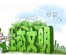 中盛鼎业岩棉的绿色屋顶种植图片