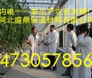 洛阳新技术农业岩棉块培育蔬菜瓜果岩棉板